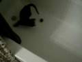 videos de Nathaniel's 5th Video