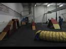 Elu at agility training.