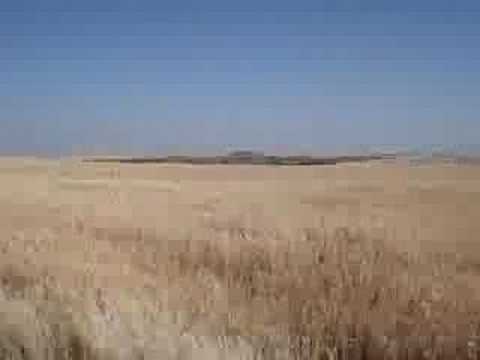 Mel à Compostelle sur la Meseta ...