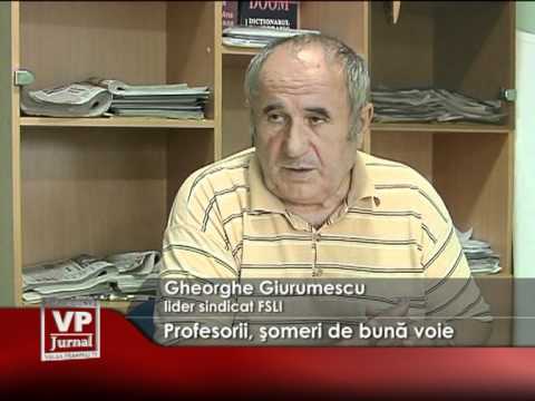 Profesorii, şomeri de bună voie