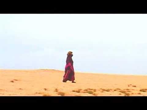 Socotra: dragon's blood waves 2007