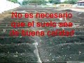 Construcci�n del Huerto Org�nico