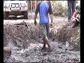 Ben rolling in the mud