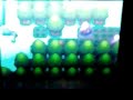 Pokemon Pearl - Great Marsh - Safari Game