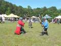 Dueling with Axes in the SCA