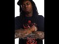 Lil Wayne - A Millie