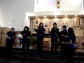 Llego Noel.wmv