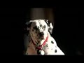 Budweiser Clydesdale commercial 2006 Super Bowl.flv Budweiser Clydesdale commercial 2006 Super Bowl.flv