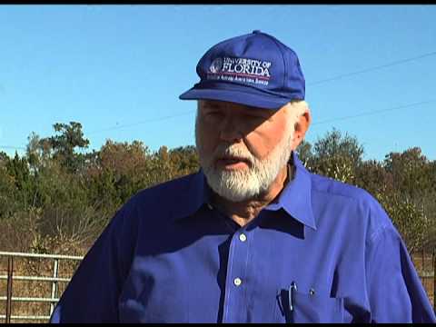 how to control crickets