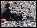 Kamikochi Japan ????? Kamikochi Japan ?????