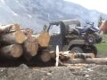 CUB CADET {{{CADALIC OF ALL QUADS}}}