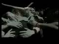 Blink 182  Mark Hoppus