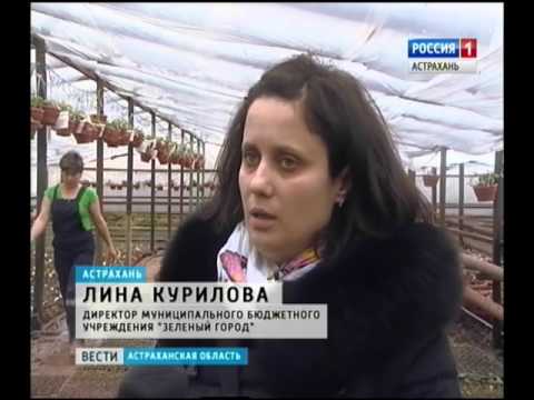 Просмотр видео