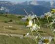 Visit Herzegovina (Vran & Cvrsnica)
