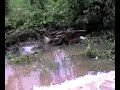 Inundacion en Finca Chocktaw Los Amates