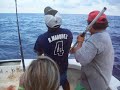 5 Girls, 3 Mexicans, 1 Big Shark.