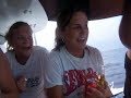 5 Girls, 3 Mexicans, 1 Big Shark.
