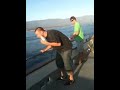 Eat a fish