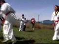Taekwondo Brandau kim - Conce