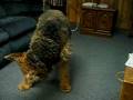 videos de AJ Eats Peanuts