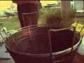 swamp-frying-camp-20