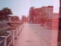 videos de Viviane Borges