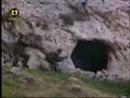 YouTube - TÃ¼rk Komandolari canli canli PKK lilari magarada 
