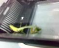 Praying mantis eating grasshopper Praying mantis eating grasshopper