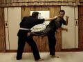 patada en giro   kempo jutsu kai   www kodokai com