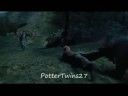 Ron Slipped Away