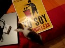 Mi gatito antinuclear Mi gatito antinuclear
