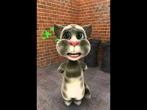Talking Cat Situation