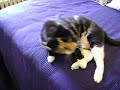 Cathy being Cute