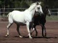 Antiqua and Annalisa