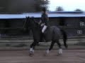 me and cheeko doing some random stuff one weekend. not amazing but we try hard lol
