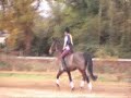 me and cheeko doing some random stuff one weekend. not amazing but we try hard lol