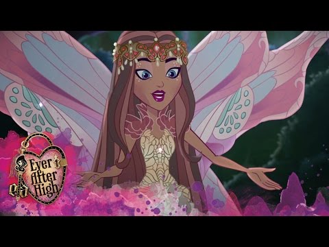 Faybelle's Choice