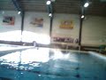 Jumping off 10m with the fans cheering in the background