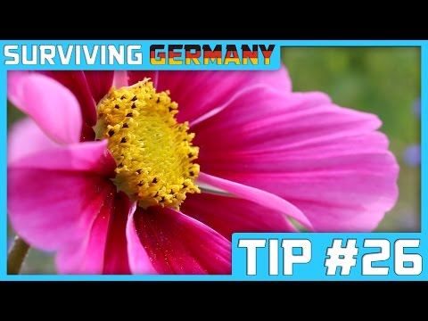 How to be Romantic - SURVIVING GERMANY