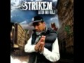 Strikem feat desp et biatch