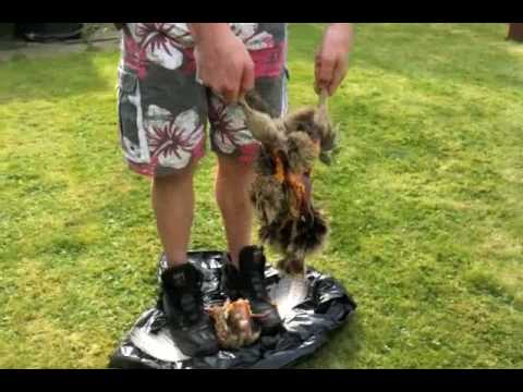 how to skin a pheasant quickly