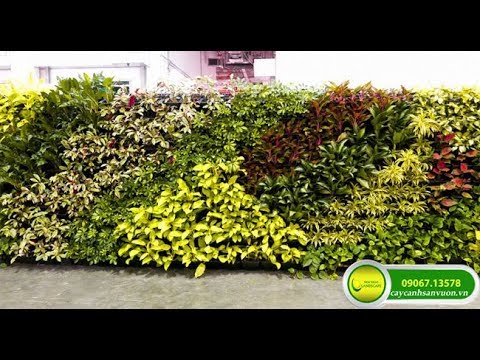 KIẾN TẠO KHÔNG GIAN XANH CHO TRƯỜNG EUROPEAN INTERNATIONAL