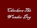 Checkers The Wonder Dog