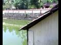 videos de Videos Of Temple and Fesival