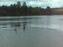 FREEZING maine lake water FREEZING maine lake water