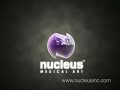 Macrophage Cytokine Release