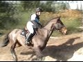 Cross Anglet TEAM Cross Anglet TEAM