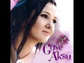 GAYE AKSU YOLLAR B?TERM?