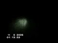 Bizarre  winged creature found in Spain!