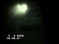 Bizarre winged creature found in Spain!